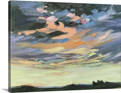 New Mexico Blue Sky, 1995