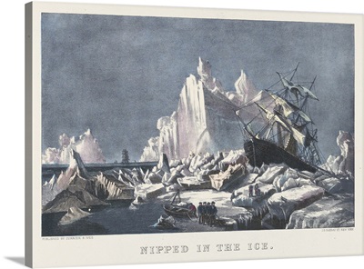 Nipped In The Ice