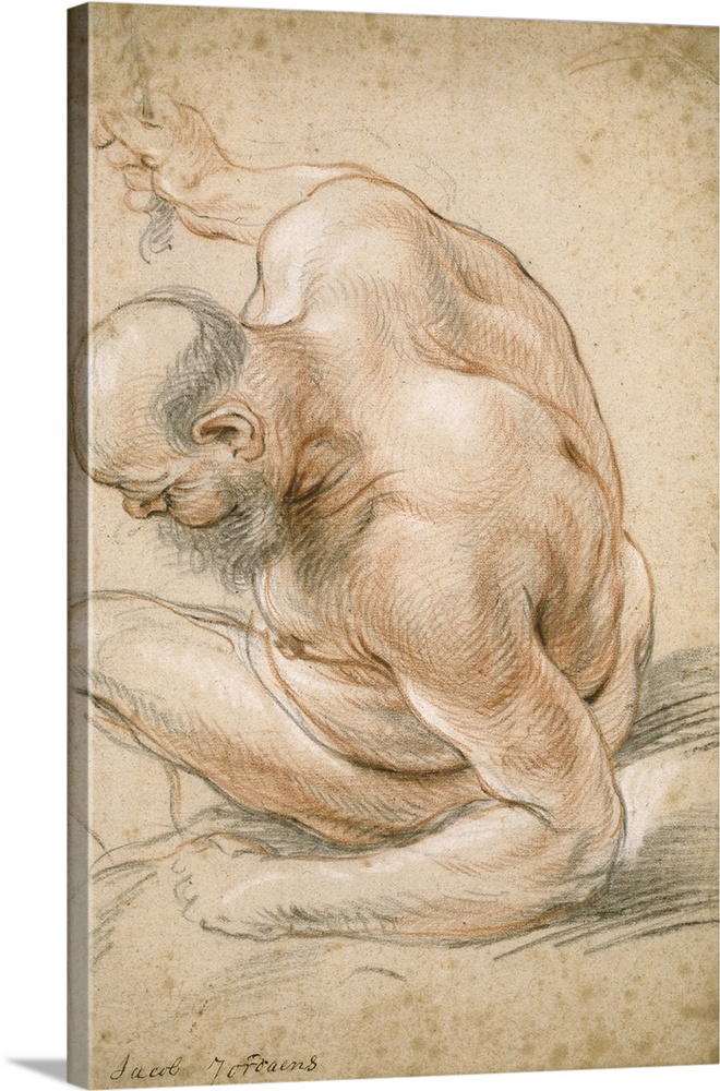 Nude Old Man Seated, Leaning on His Forearm, Facing Left, c.1640, red and black chalk, heightened with white chalk, on cre...