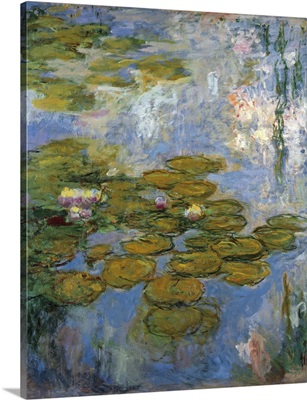 Nympheas - Bassin Aux Nenuphars A Giverny (Water Lilies), 1916-19