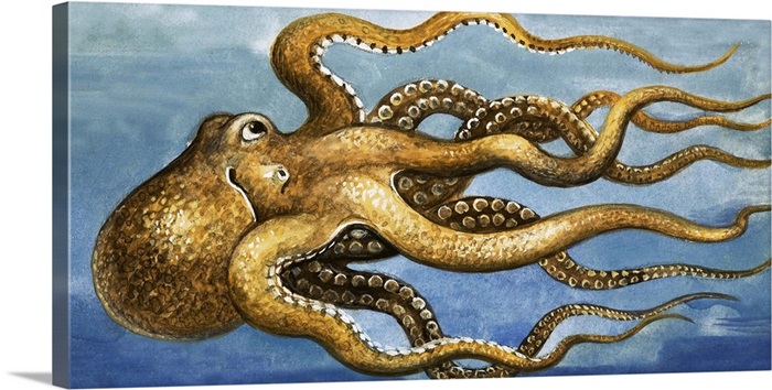 Octopus Wall Art Canvas Prints Framed Ls Great Big - Octopus Wall Decor Canvas