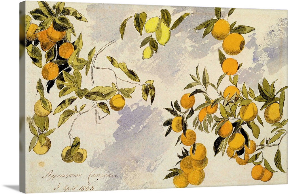 XYC136238 Orange Trees, 1863 (w/c, pen and ink over graphite on heavy wove paper)  by Lear, Edward (1812-88); watercolour,...