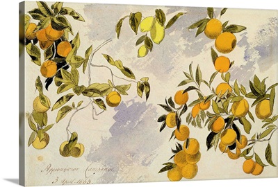 Orange Trees, 1863