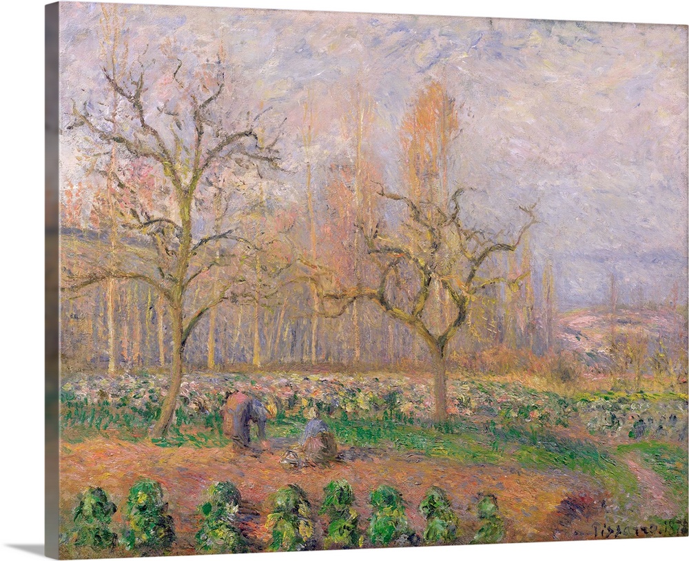 Orchard at Pontoise, 1878