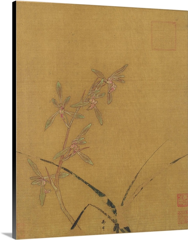 Orchids | Great Big Canvas