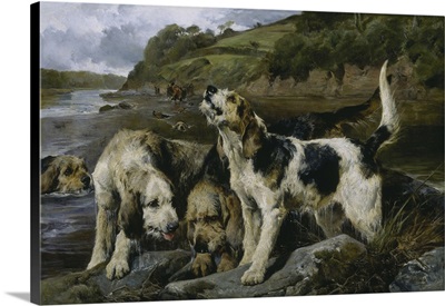 Otter Hunting, Or "On The Scent", 1881
