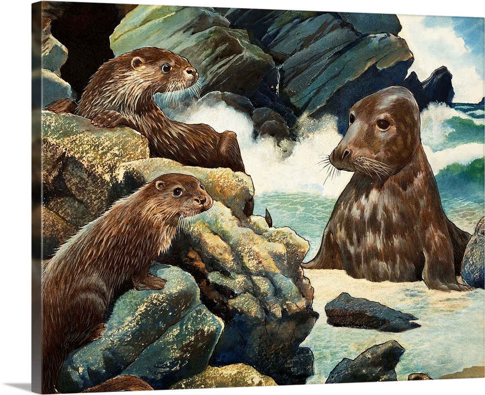 Otters and Walrus. Original artwork.
