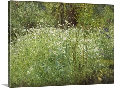 Oxeye Daisies And Irises, 1920