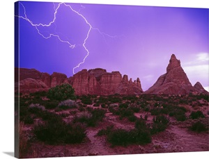 Painting In The Dark image thumbnail