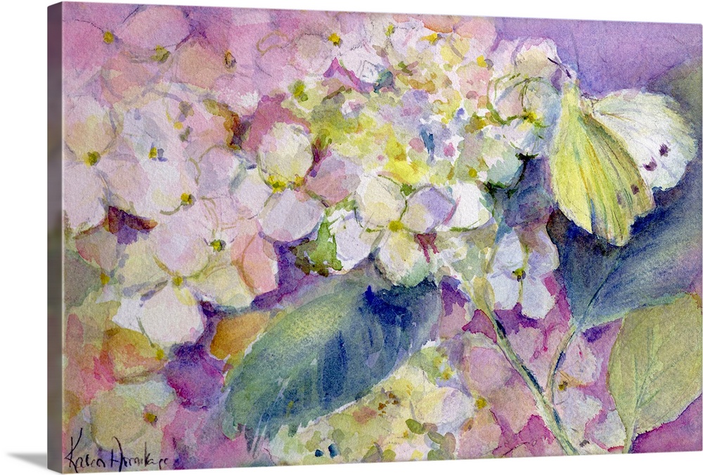 Oversized, landscape, floral watercolor painting of a pale clouded yellow butterfly (colias hyale) that has landed on a fu...