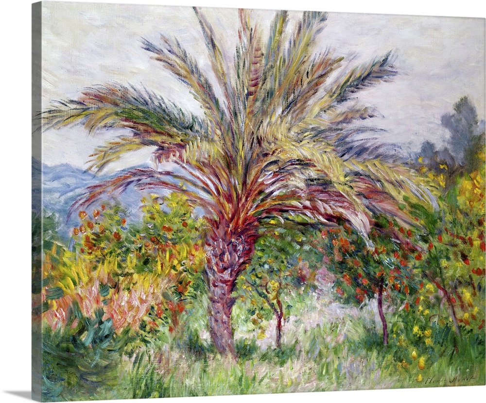 Palm Tree At Bordighera, 1884