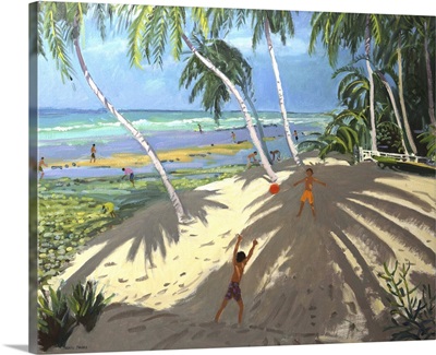 Palm trees, Clovelly beach, Barbados, 2013