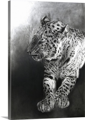 Panthera Pardus 2, 2009