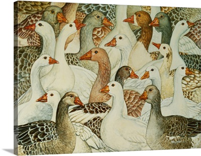 Patchwork Geese