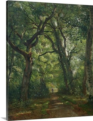 Path in the Forest, 1864