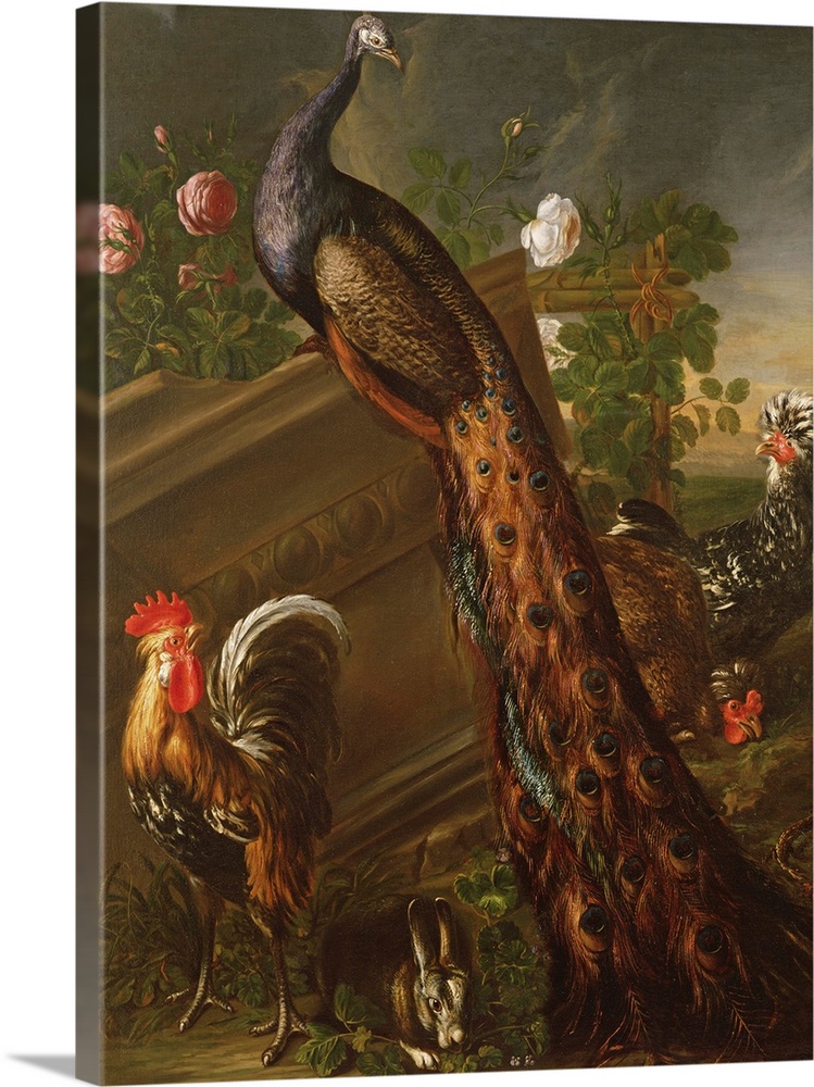 BAL22763 Peacock and Cockerels, 17th century by Koninck, David de (1636-99); Cadogan Gallery, London, UK; Flemish,  out of...