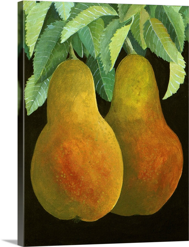 Contemporary painting of two pears hanging from a tree.