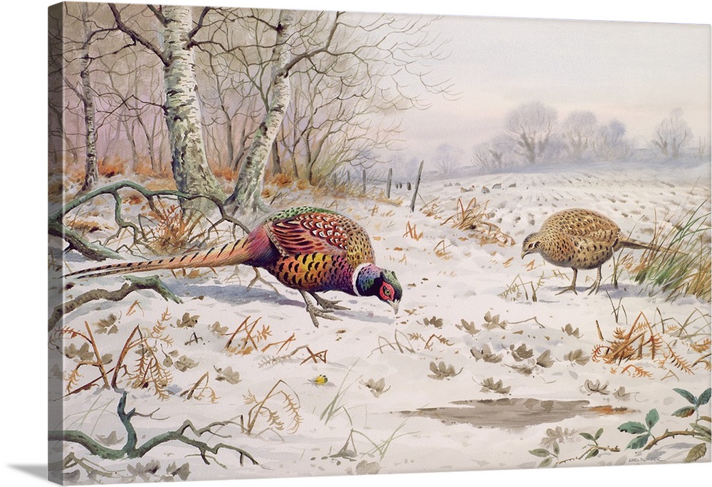 Pheasant and Partridge Eating, originally watercolor on paper.