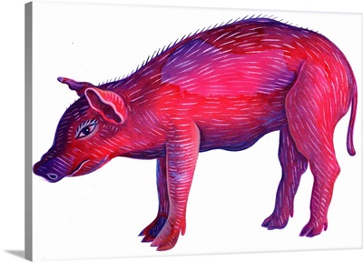 Pig, 1996