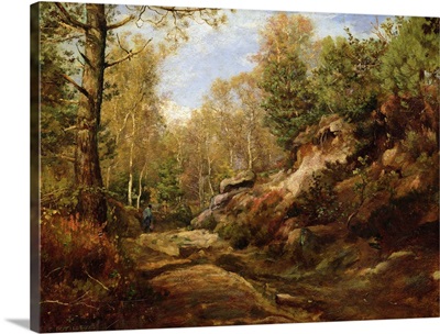 Pines and Birch Trees or, The Forest of Fontainebleau, c.1855-57