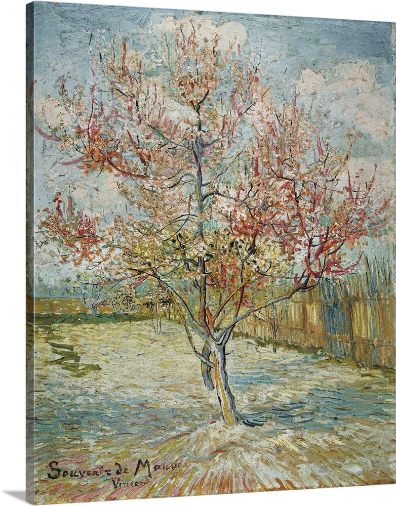 Pink Peach Trees (Souvenir De Mauve), 1888