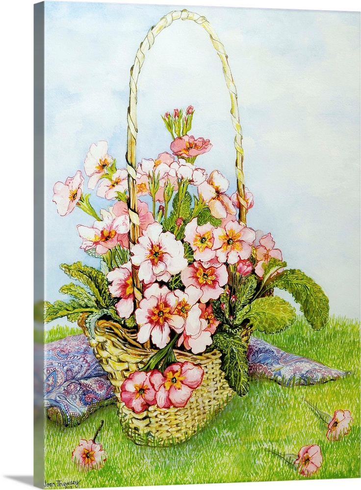 Pink Primroses in a Florist's Basket with a Paisley Scarf, 2010, originally watercolor on paper.
