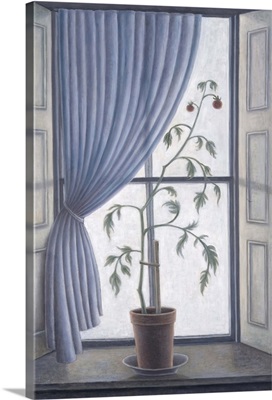 Plant in Window, 2003