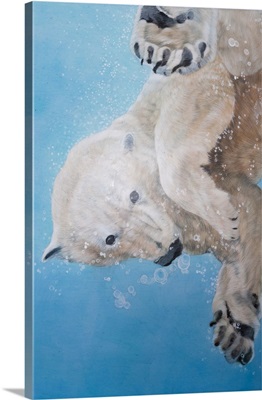Polar Bear Ballet, Detail, 2012