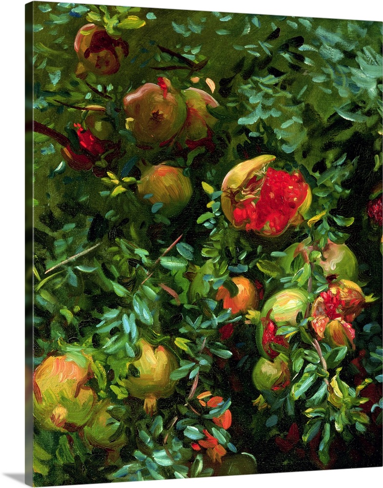 CH202589 Credit: Pomegranates, Majorca, c.1908 (oil on canvas) by John Singer Sargent (1856-1925)Private Collection/ Photo...