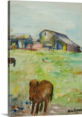 Pony In The Farm Meadow, East Green, 1980