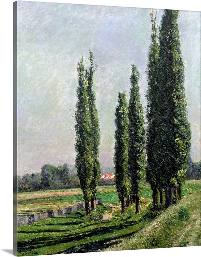 BRM156231 Poplars on the Riverbank at Argenteuil (oil on canvas) by Caillebotte, Gustave (1848-94); Private Collection; (a...
