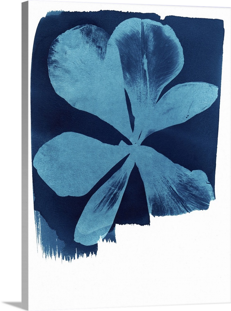 Originally cyanotype.