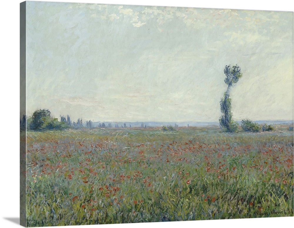 Poppy Field, 1881