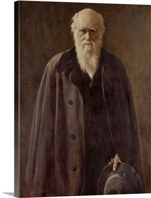 Portrait of Charles Darwin (1809-1882) 1883