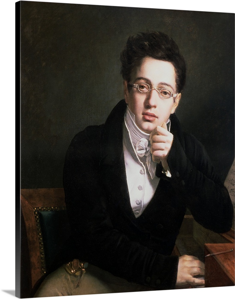 XAM77557 Portrait of Franz Schubert (1797-1828), Austrian composer, aged 17, c.1814  by Austrian School, (19th century); o...