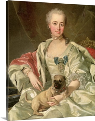 Princess Ekaterina Golitsyna (1720-91) 1759