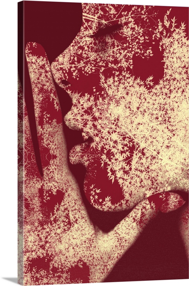 Profilo D'acero, 2018