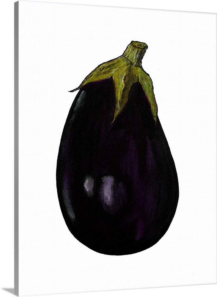 Purple aubergine by Thompson-Engels, Sarah