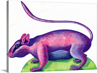 Rat, 1996