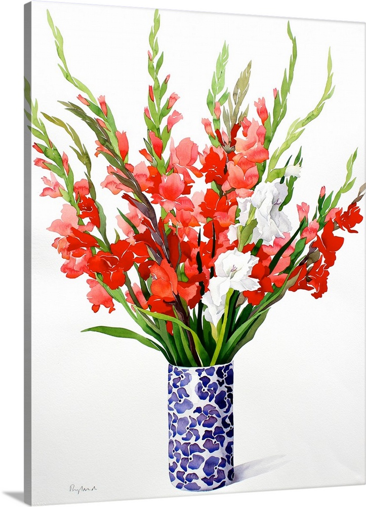 Red and White Gladioli, watercolour on paper.