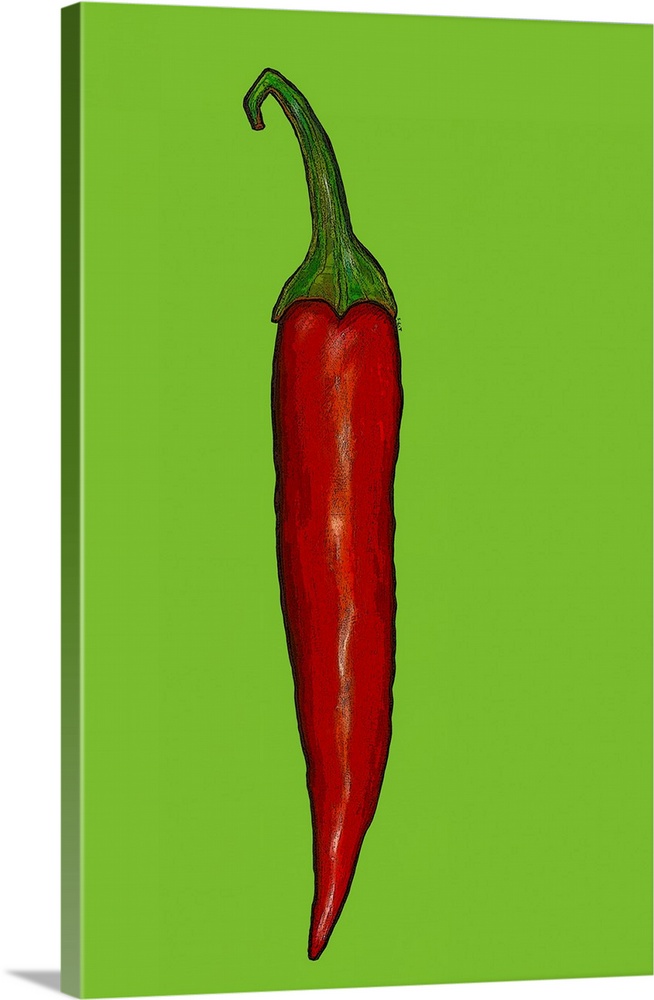 Red hot chilli pepper by Thompson-Engels, Sarah