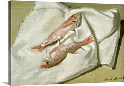 Red Mullet, 1870