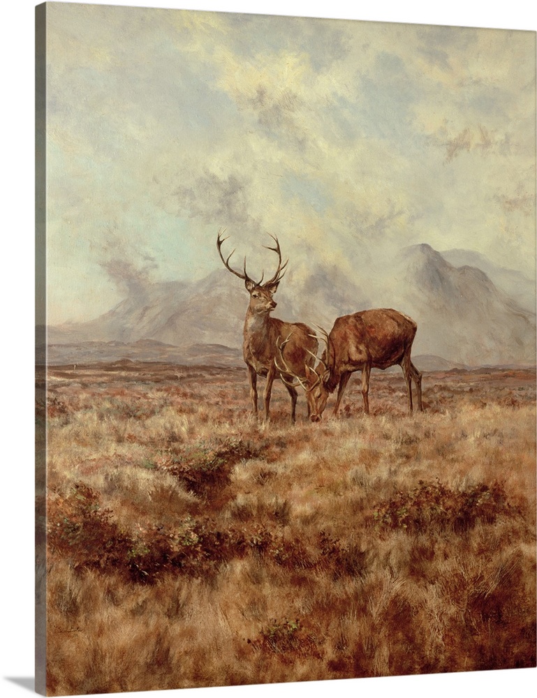 Red Stags, Ben Buie, 1982