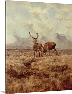 Red Stags, Ben Buie, 1982