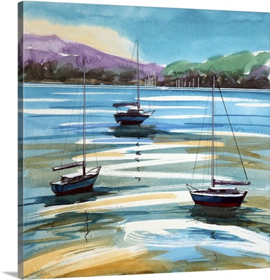 River Exe, 2024 image thumbnail