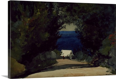 Road In Bermuda, 1899-1901