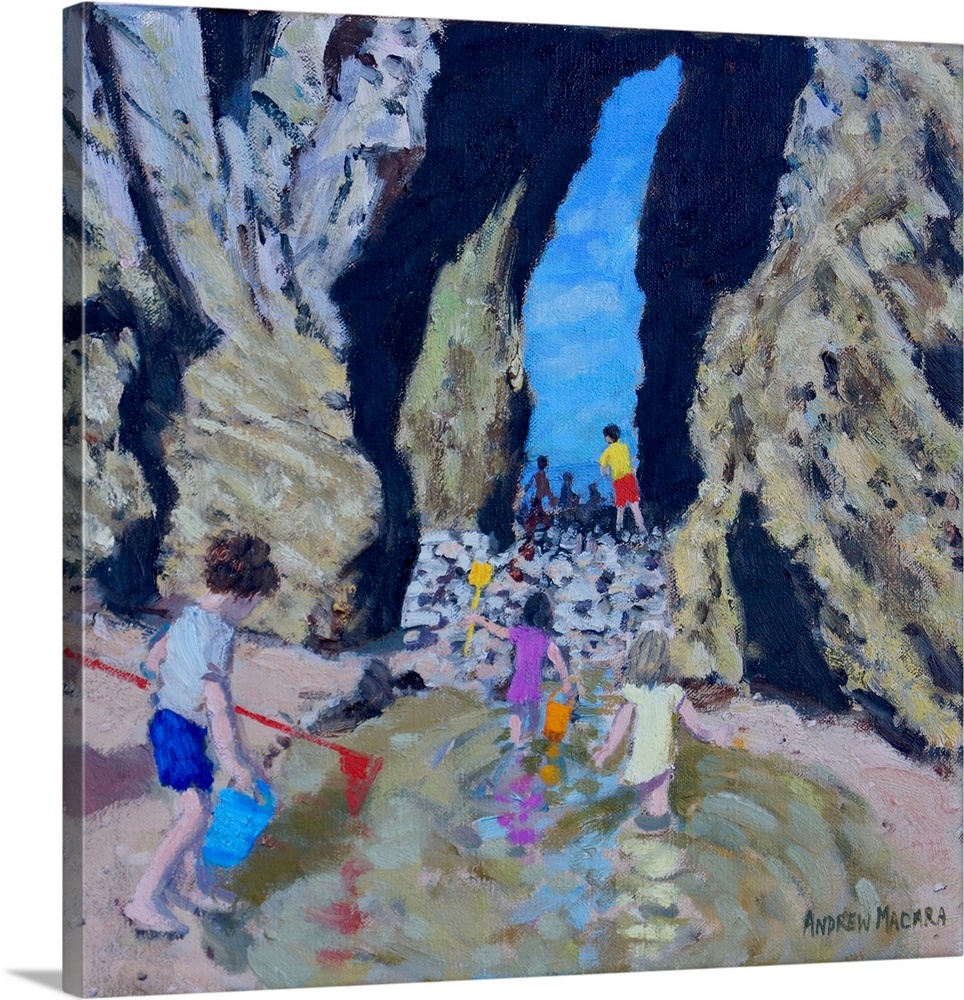 Rock Pool, Tenby, 2017, (oil on canvas) by Macara, Andrew