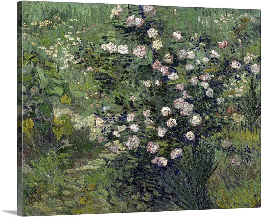 Roses, 1889