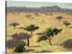 image thumbnail of Sahelian Landscape, Mali, 1991