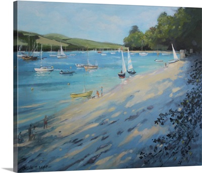 Salcombe Fishermans Cove, Blue And White Sail